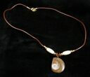 Polished Goniatite Fossil Necklace #3153-1